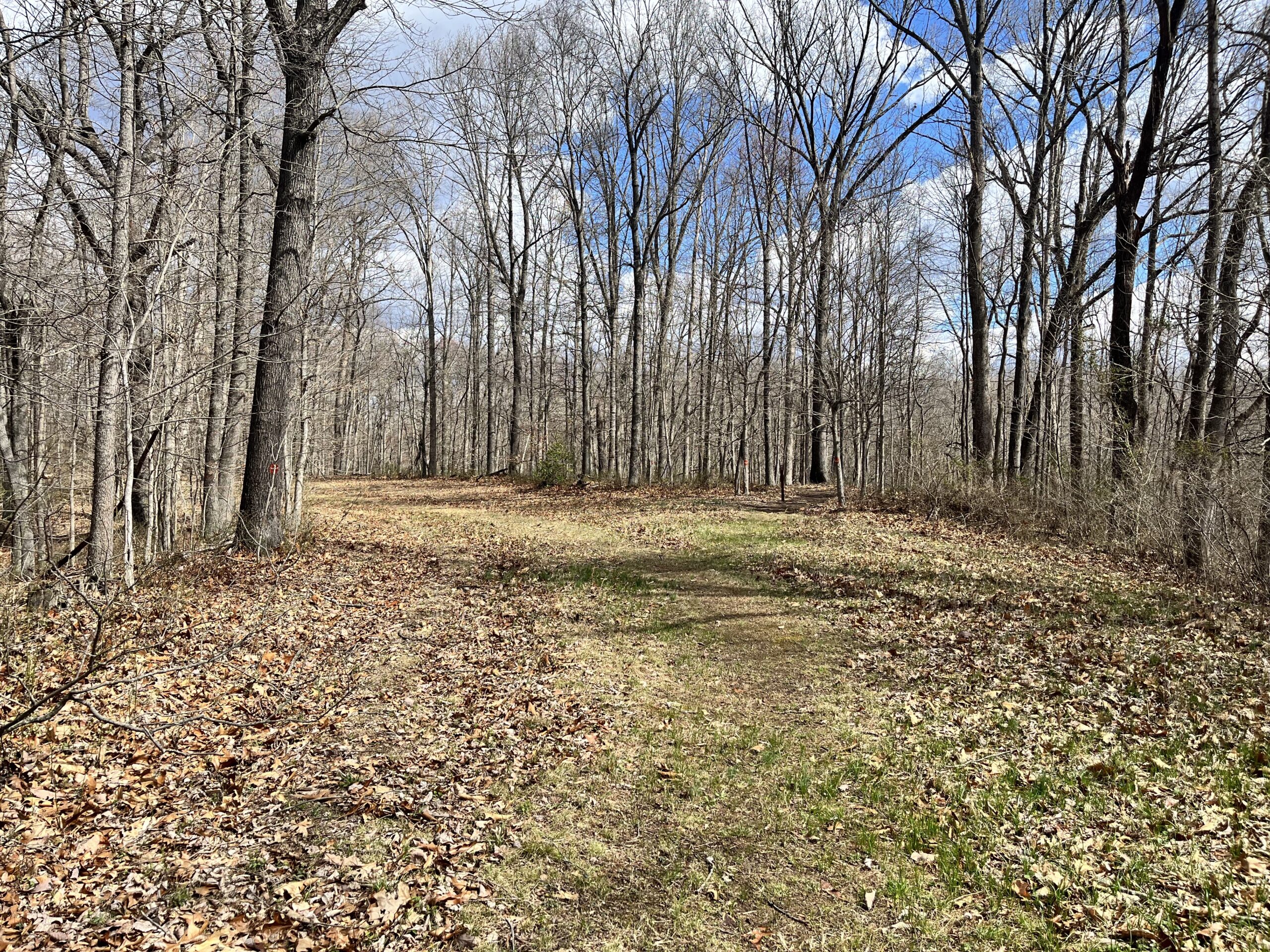 View from Jesse Stuart State Nature Preserve